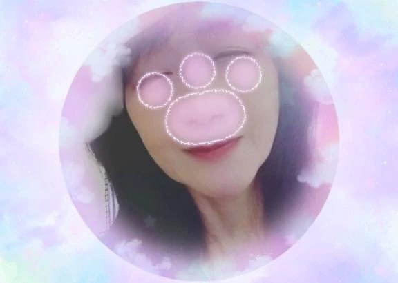 白菜サンドイッチ(^･^)