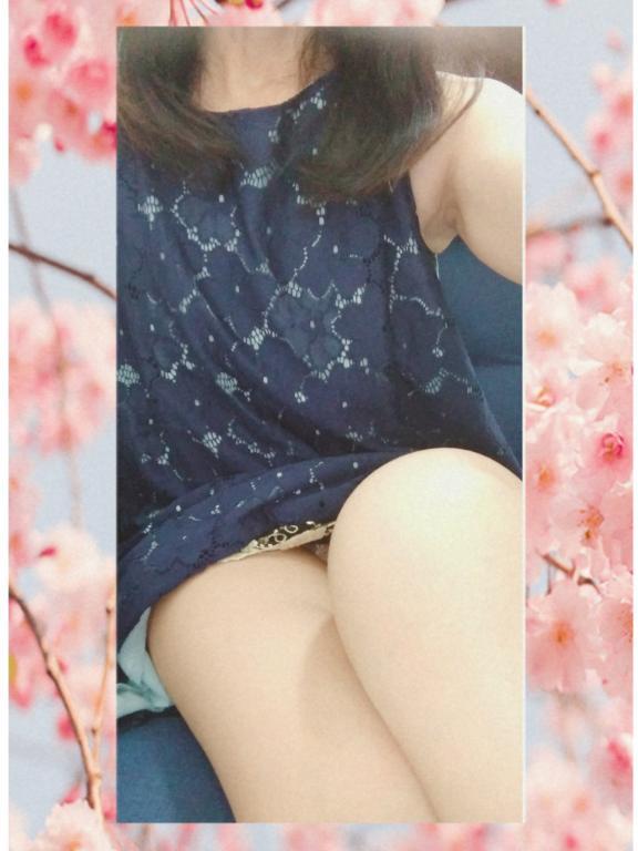出逢い(=⌒ー⌒=)