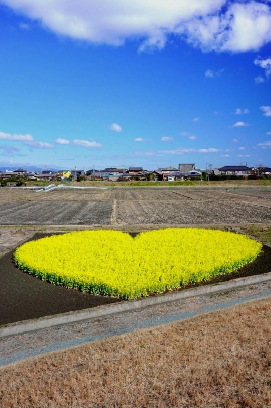 こんにちは